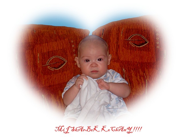 MOJ SKABEK