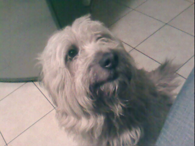 MOJE KOCHANIE :* 