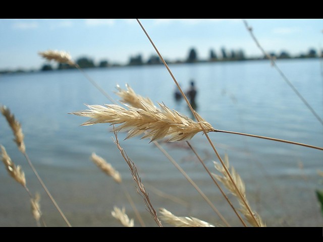 Malina.