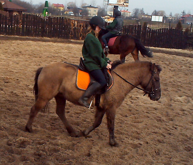 Misioo