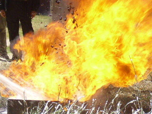 WAKACJE 2008