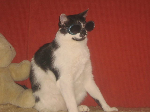 Filu      hahhha