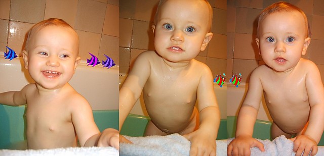 05 maja 2008