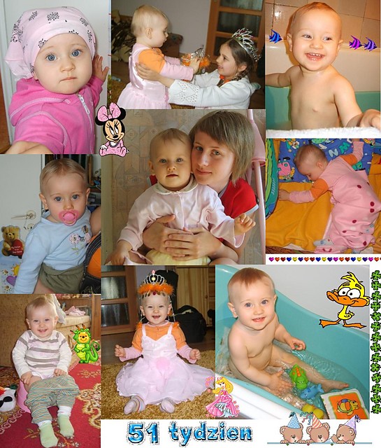 51 tydzie 04-10 maja 2008 