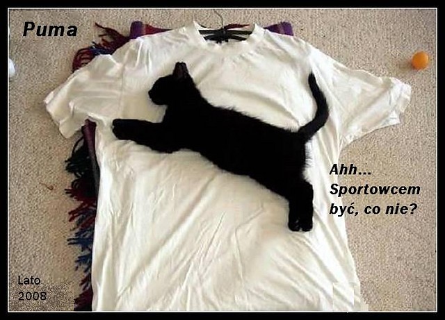 Oryginalna Puma^^ Sportowcem by