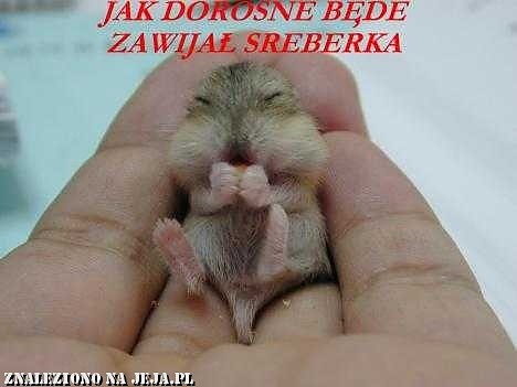 zastanawiajce hehe