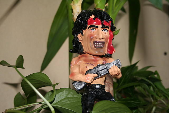 Mj Rambo