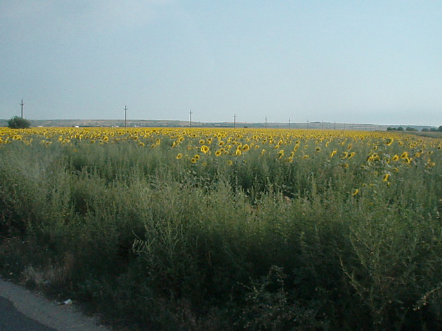 'Rumunia.'