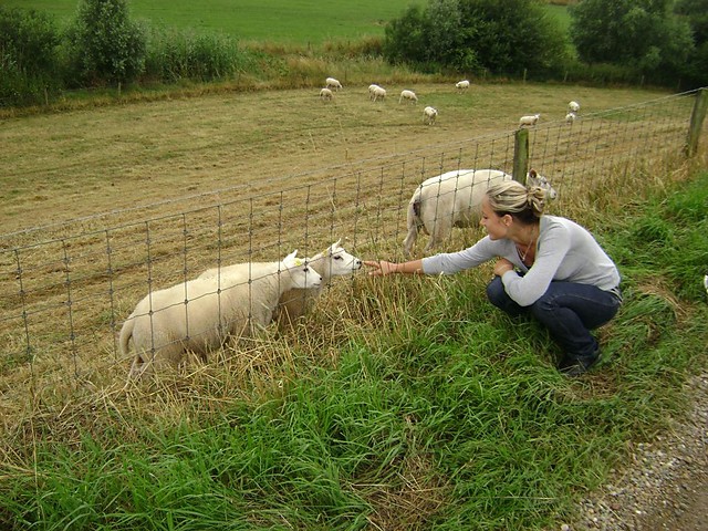 holland
