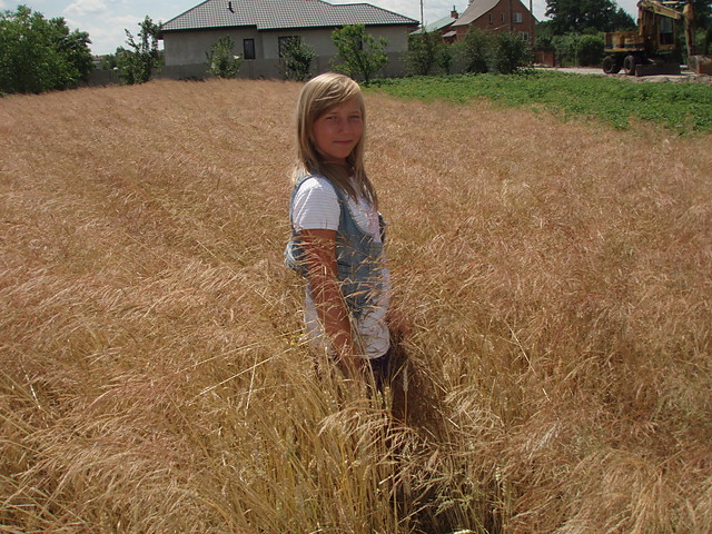Dariaa