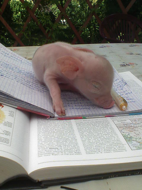 EDUKUJCY SIE PROSIACZEK