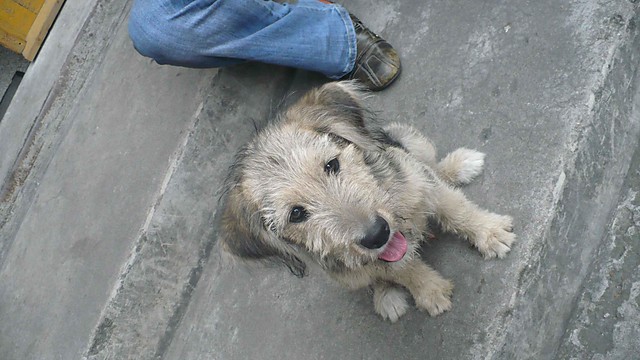 Bosik:)