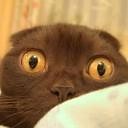 O.o