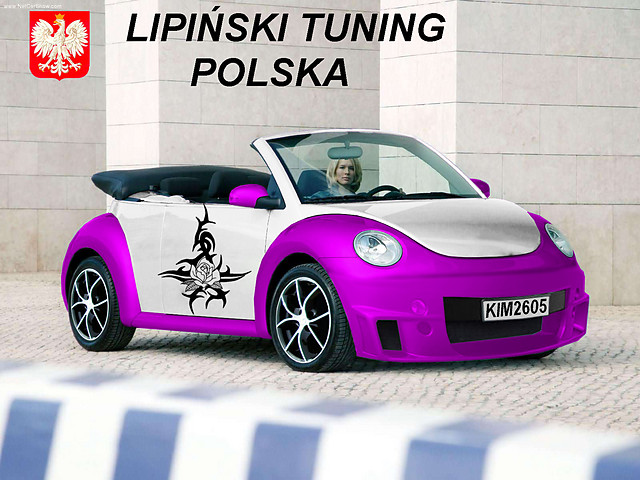 VW NEW BEETLE TUNING