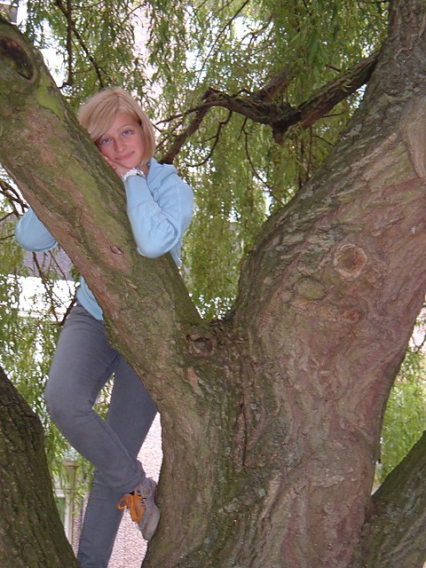 On the tree... I love it!!!