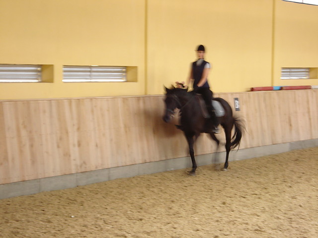 Sczurek w kusie...