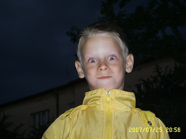 ryjec zdrw