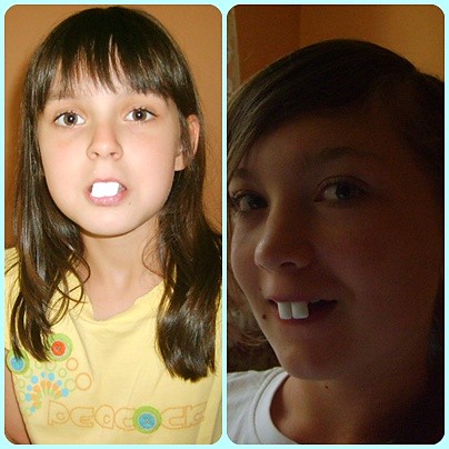 Zajace !