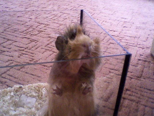Moja winka 