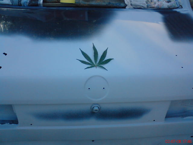 BMW wersji GANJA :p