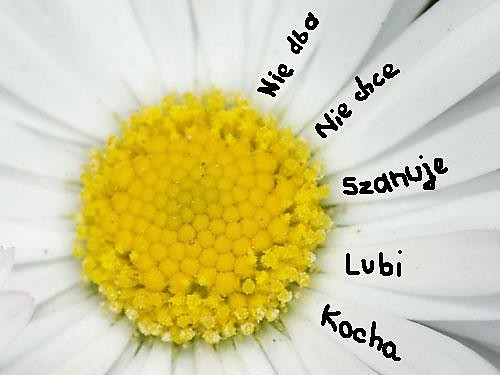 tra la la