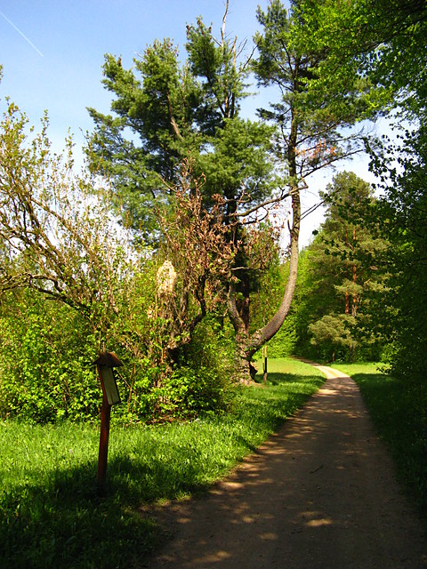 Park Paacowy (BPN)
