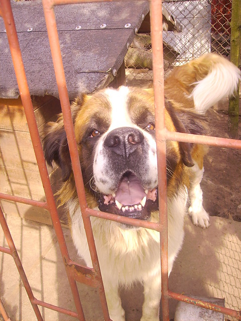                    Zibi;p 
