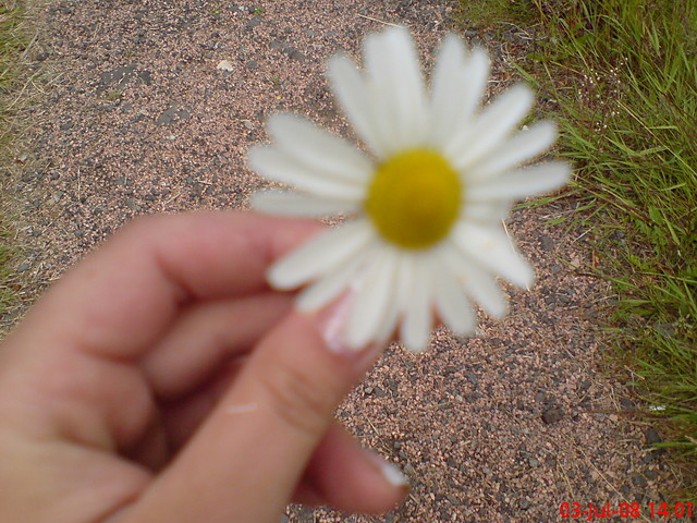 Flower :P