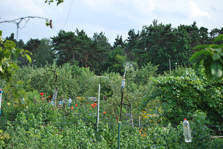 Garden party