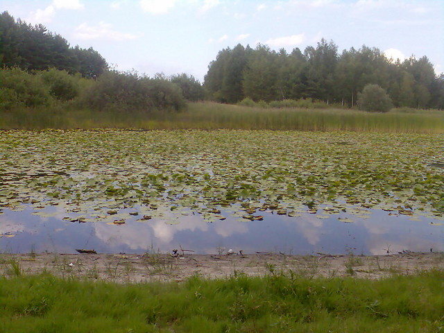 Sadykierz :D