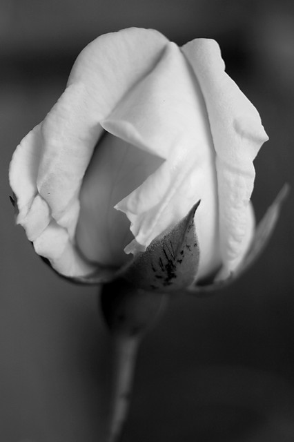 16.