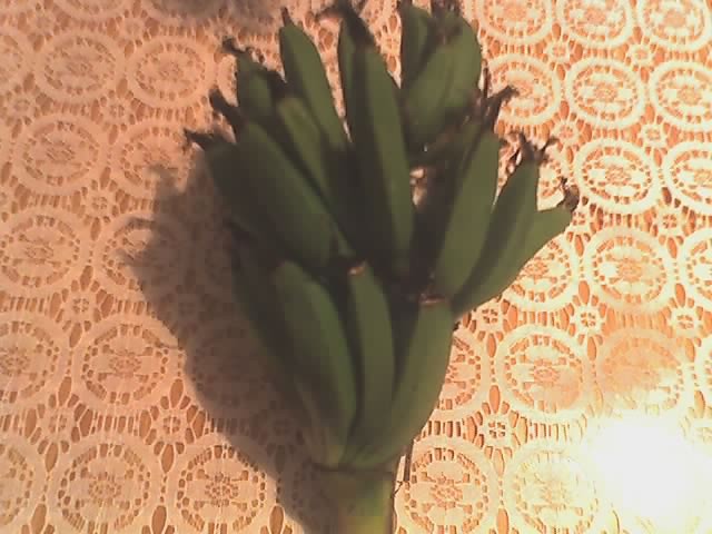 Bananki