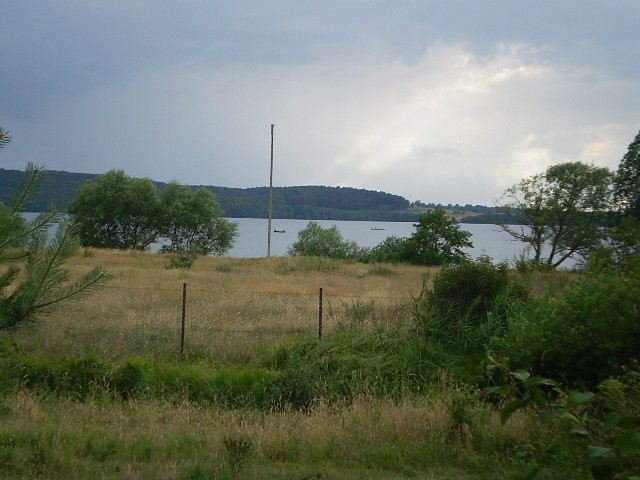 widoczek