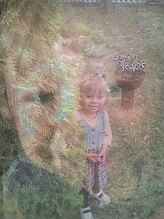 13 lipca 2008