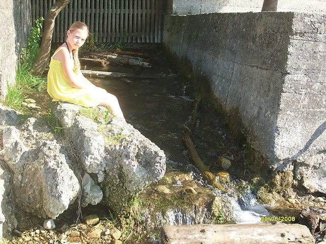 siema