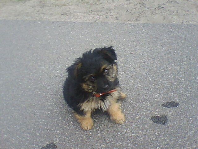 Mj Kochany Maniuuu.;*