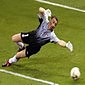 Dudek 