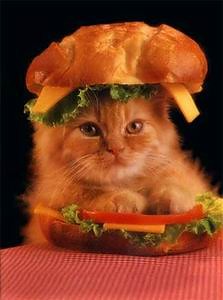 Hamburger