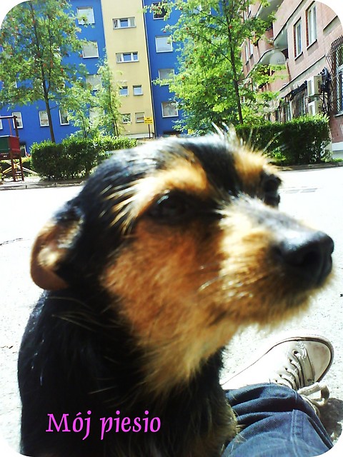 Loritka x)