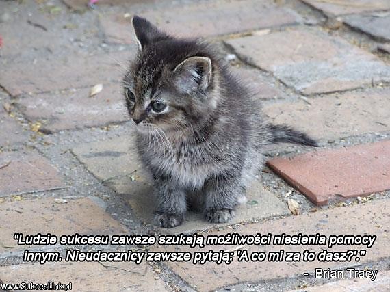 Tyt Oglniowy