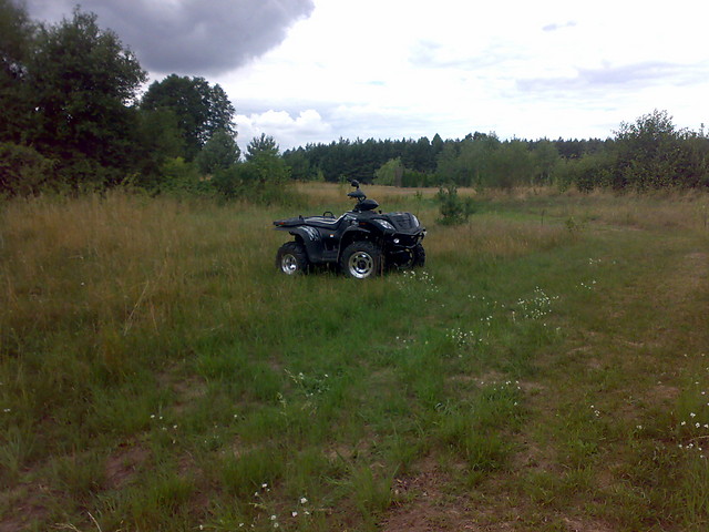 Quadzior:P