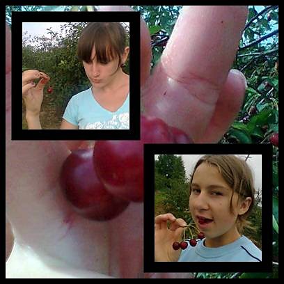 wisienki