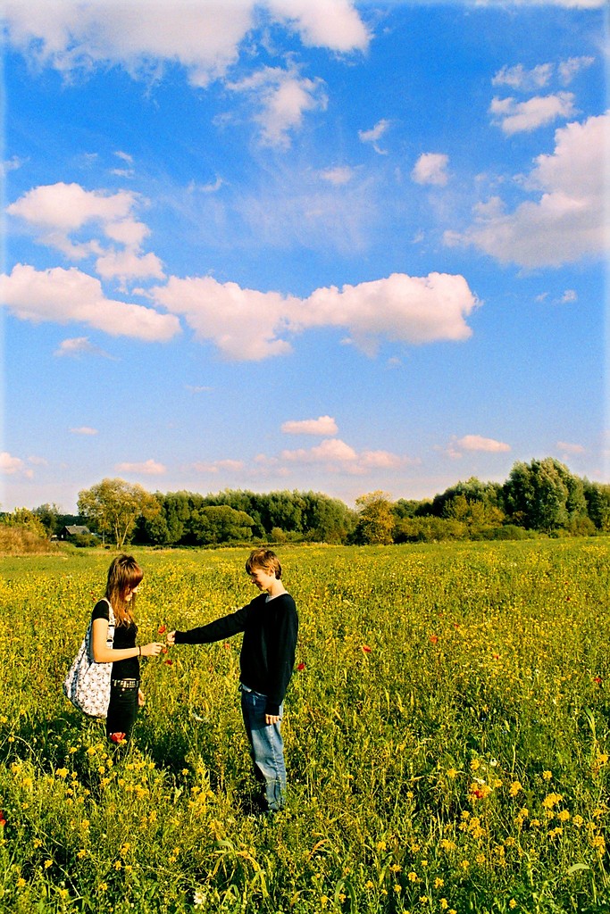 Meadow