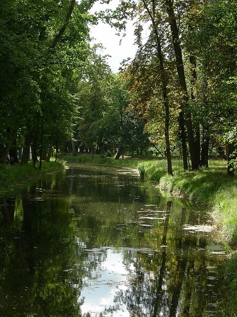 Leniwie