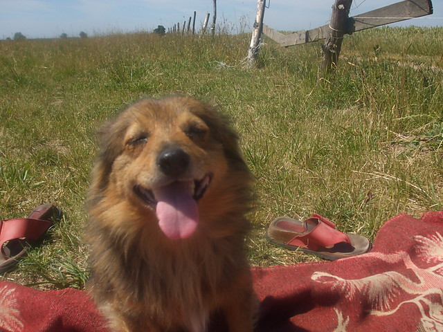 MOJE KOCHANIE JUTRO BDZIE LEPIE