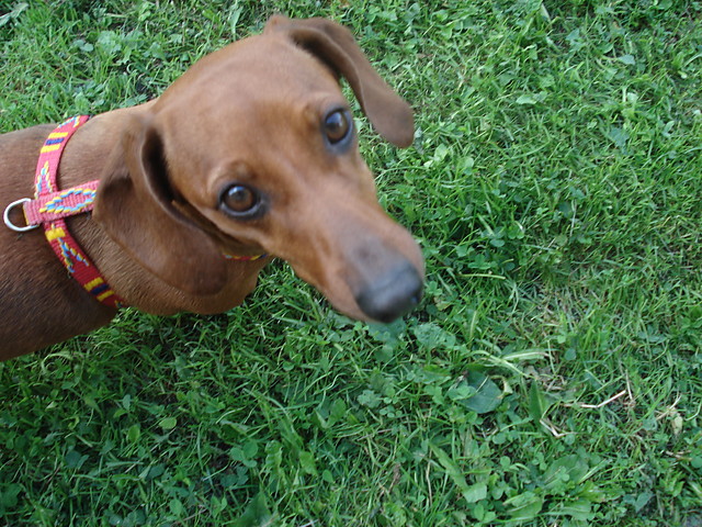 a kuku :)