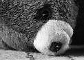 .black&white.