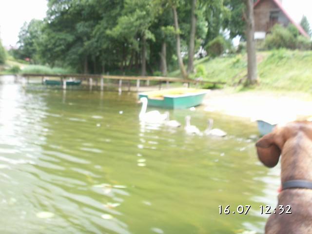 abdzie i ja ;]