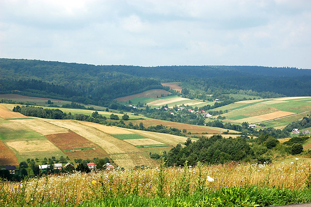 zielone wzgorza nad solina