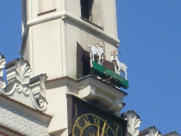 Poznaskie kozioki